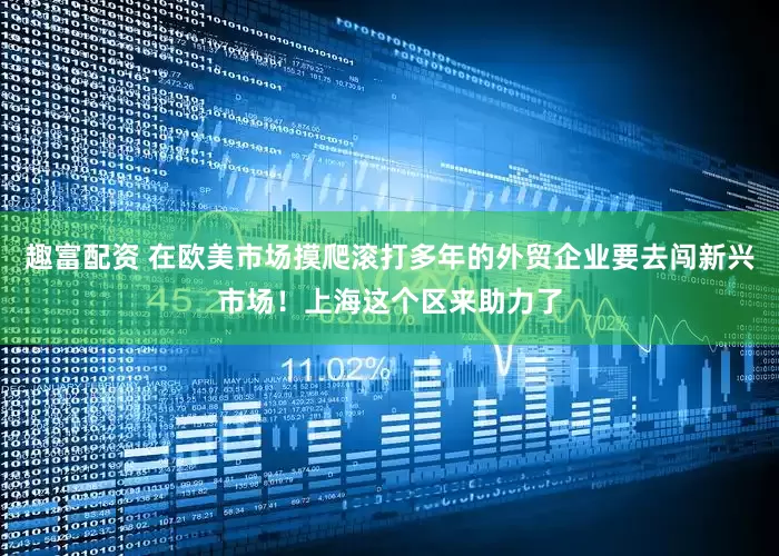 趣富配资 在欧美市场摸爬滚打多年的外贸企业要去闯新兴市场！上海这个区来助力了
